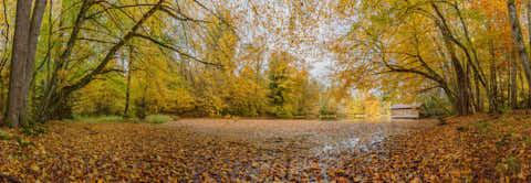 Gemeinde Tarsdorf Bezirk Braunau Huckinger See Pano Herbst (Dirschl Johann) Österreich BR